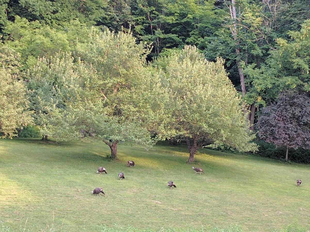 The Chase House Inn Cornish Bagian luar foto